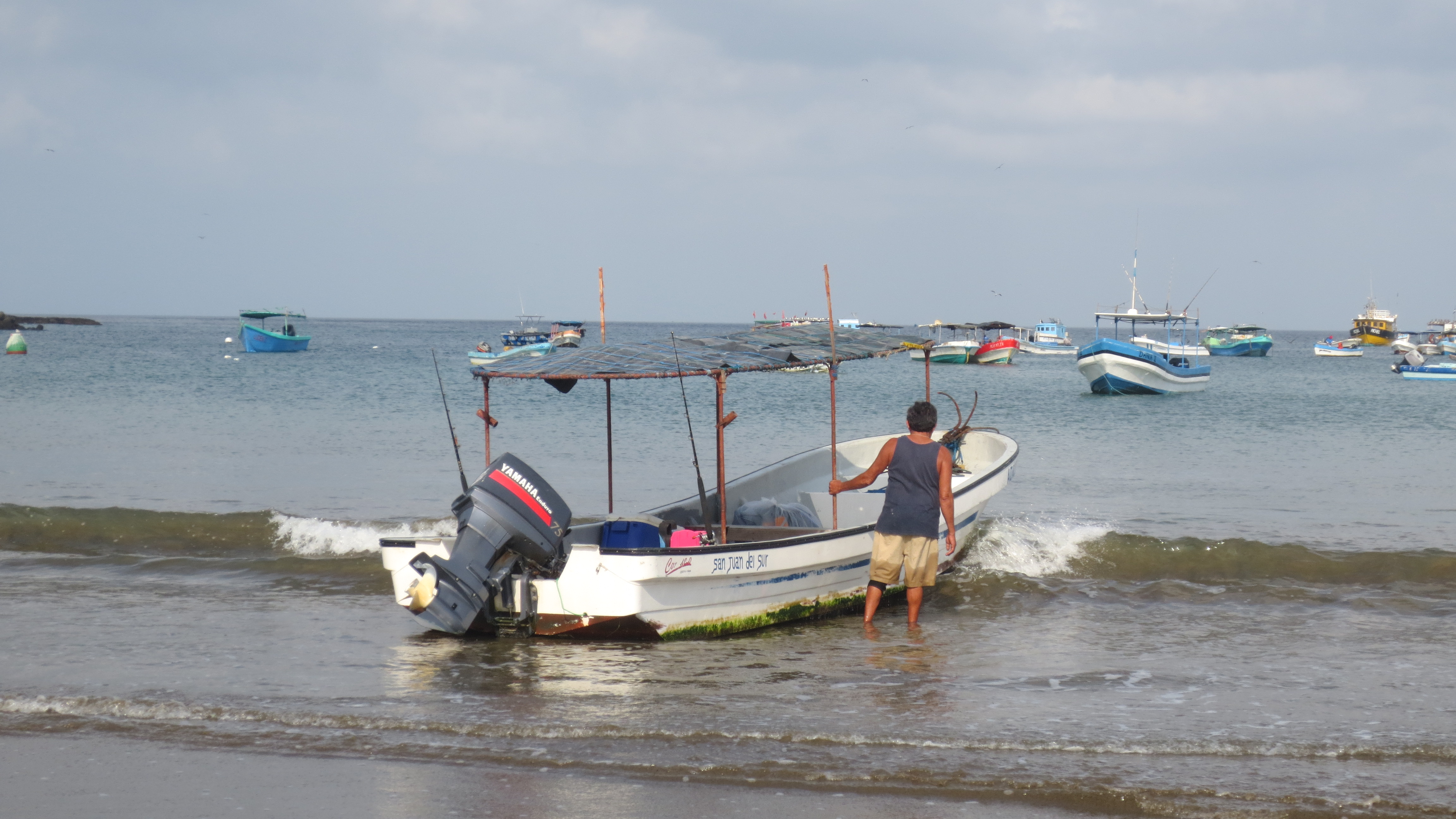IMG_6319.JPG image