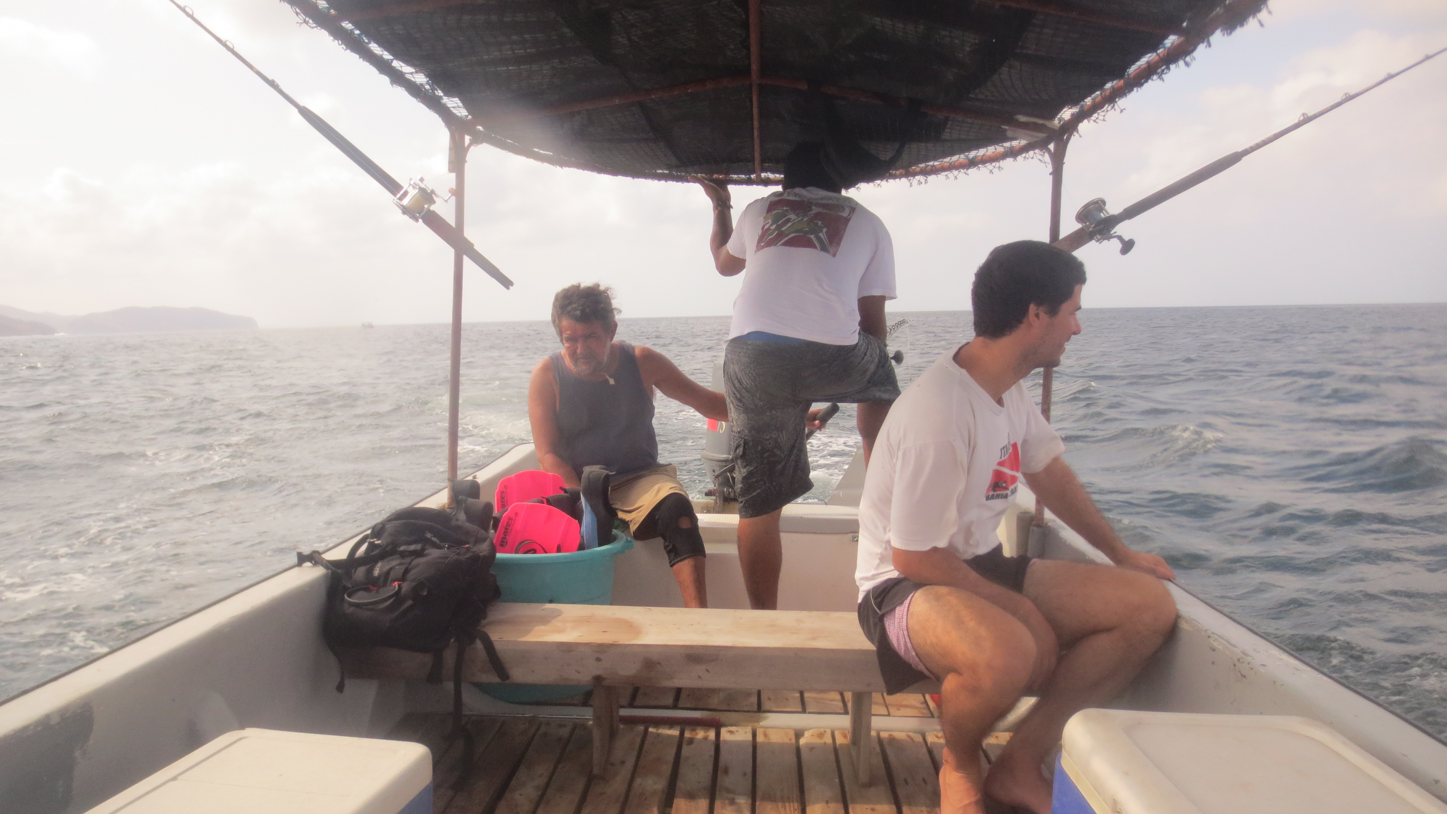 IMG_6333.JPG image