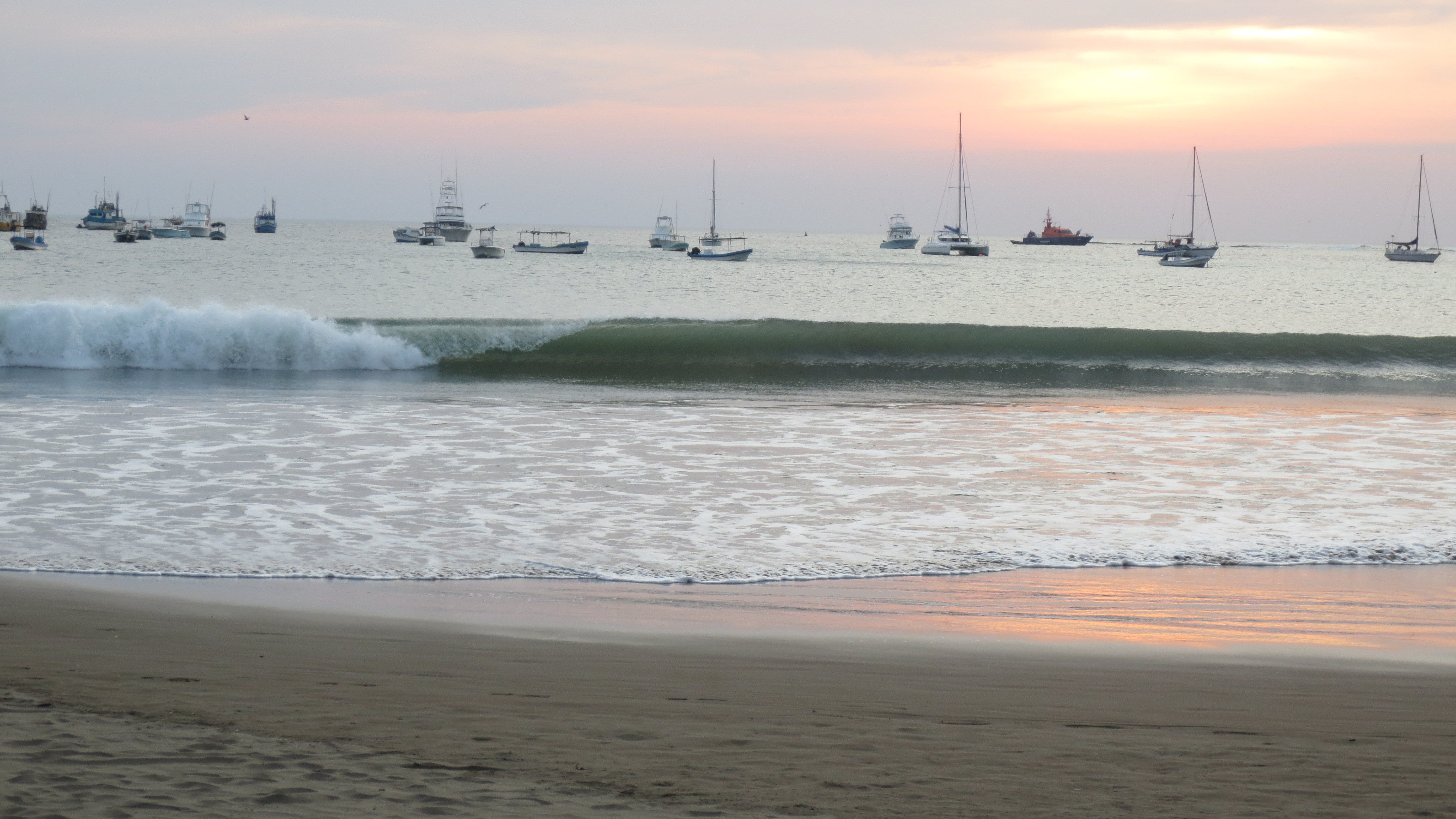 IMG_6675.JPG image